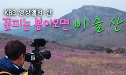 영상앨범 산 - '꽃피는 봄이오면 대구 비슬산'편에 출연하다.