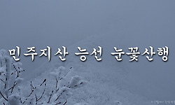각호산 - 민주지산 - 석기봉 - 삼도봉 (눈꽃이 너무나 아름다웠던 날)