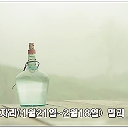 관련글: 산수도인 2025년 별자리 운세 물병자리, 물고기자리