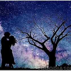 관련글: 7월의 별자리 운세를 알아보세요 : 사자자리, 처녀자리, 천칭자리