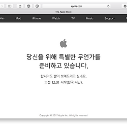 섬네일포스트