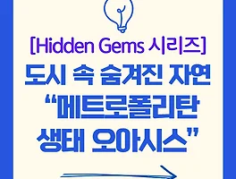 도시 속 자연을 만나는 법: 세계 대도시 생태 오아시스 6선 [Hidden Gems 시리즈 #2]