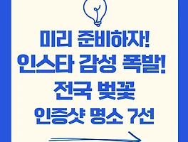 미리 준비하자! 인스타 감성 폭발! 전국 벚꽃 인증샷 명소 7선