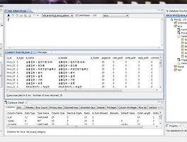 이클립스 기반 SQL Explorer