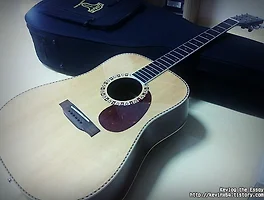 Clean the Guitar