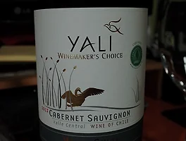 Yali Wild Swan 2013