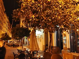 Under the orange tree