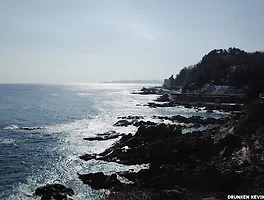 언제나 갑자기 떠나는 여행, 삼척 겨울 바다 여행!