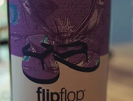 Flip Flop 2010