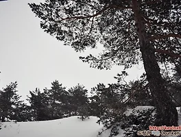 떠나자! 꽃할배들도 방문한 세고비아(Segovia)로!