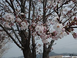 블로그가 뜸해진 이유