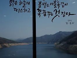 봄 봄