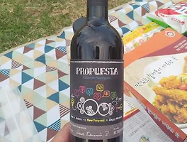 Propuesta Cabernet Sauvignon 2012