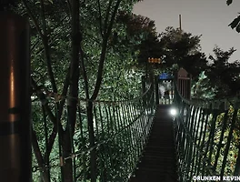 서울 3대 야경이라는 응봉산에 올라