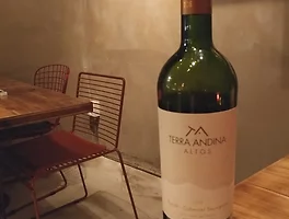 Terra Andina Altos 2008 (Feat.와인주막 차차)