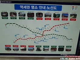 징검다리 휴무를 틈 탄 대구 걷기 여행