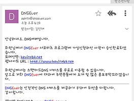 사랑해요, DNSEver