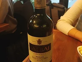 Castillo de Albai Crianza 2011