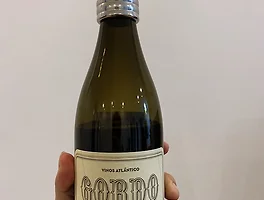 Gordo 2014
