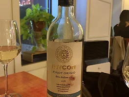Inycon Pinot Grigio 2018 (Feat.비볼리)