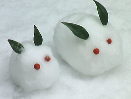 여름의 계어 夏の季語