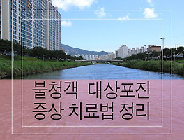 썸네일링크