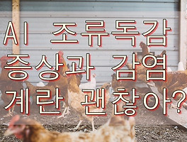 썸네일링크