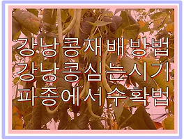 썸네일링크