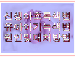 썸네일링크