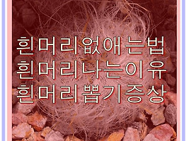 썸네일링크