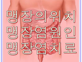 썸네일링크