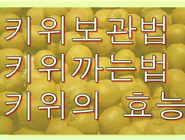 썸네일링크