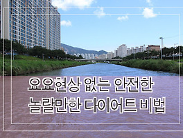 썸네일링크