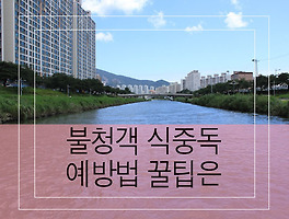 썸네일링크
