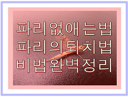 썸네일링크