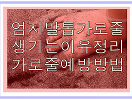 썸네일링크