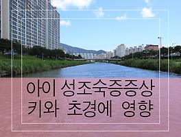 썸네일링크