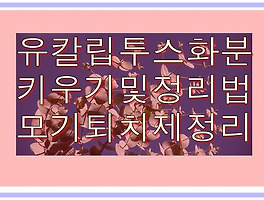 썸네일링크