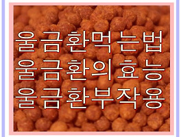 썸네일링크