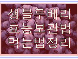 썸네일링크