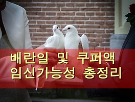 썸네일링크