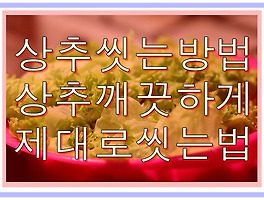 썸네일링크