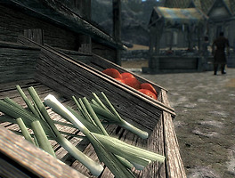 스카이림 Hrk Enb