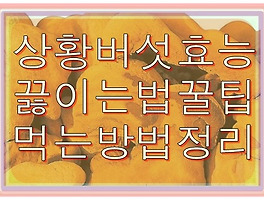 썸네일링크