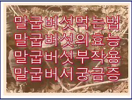 썸네일이미지2