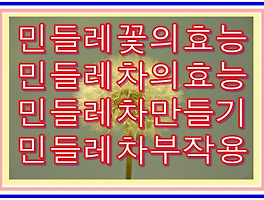 썸네일링크