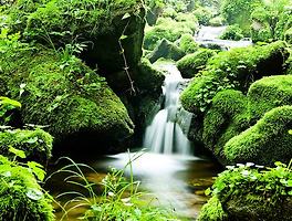 프레임다른것