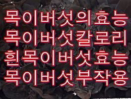 썸네일링크