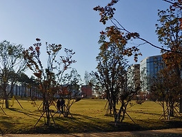 article_related_rep_thumbnail