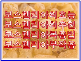 썸네일링크